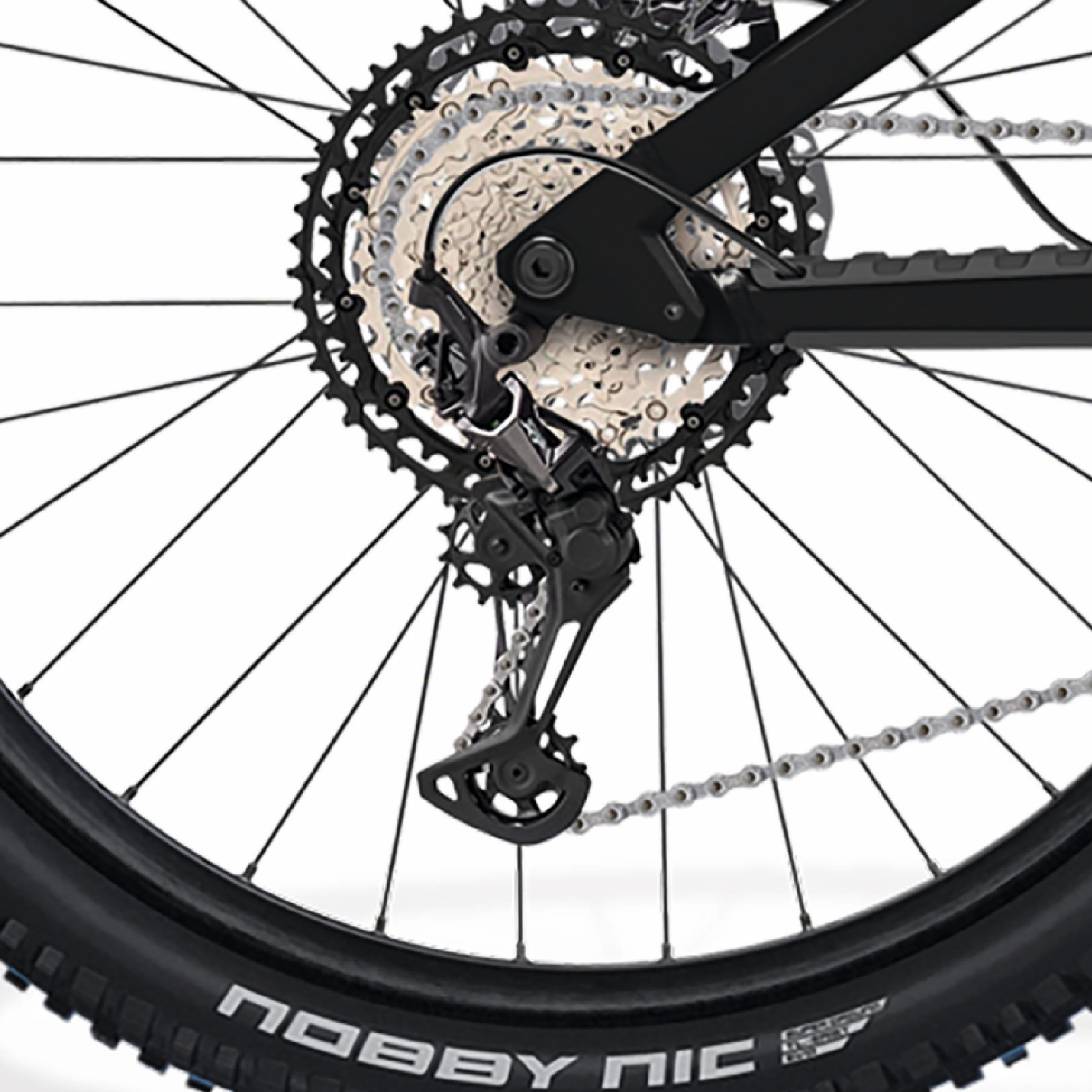 TRS 160 BESV Premium e-bikes