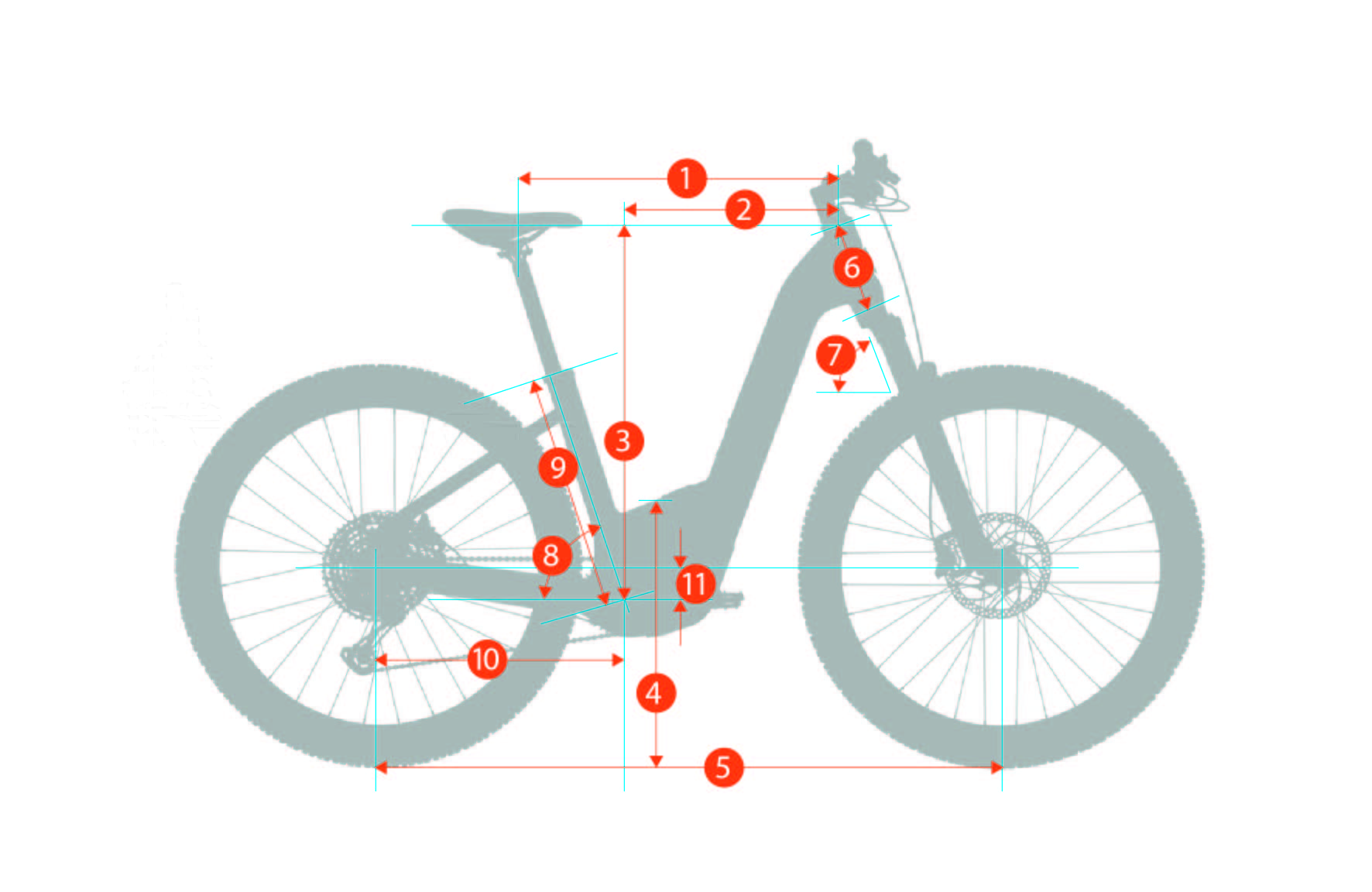 TRX-B LS Geometry (MY25)